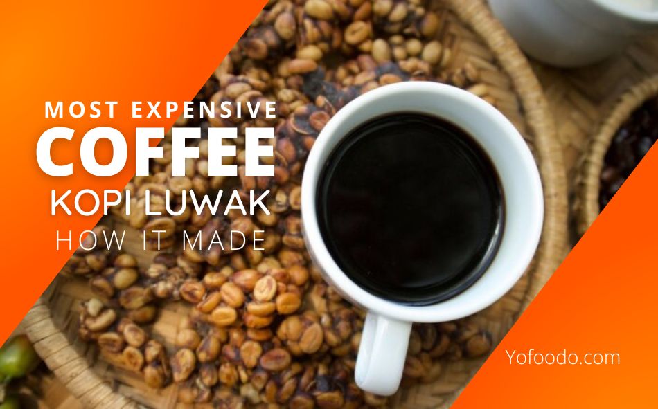 Most expensive coffee in the world?